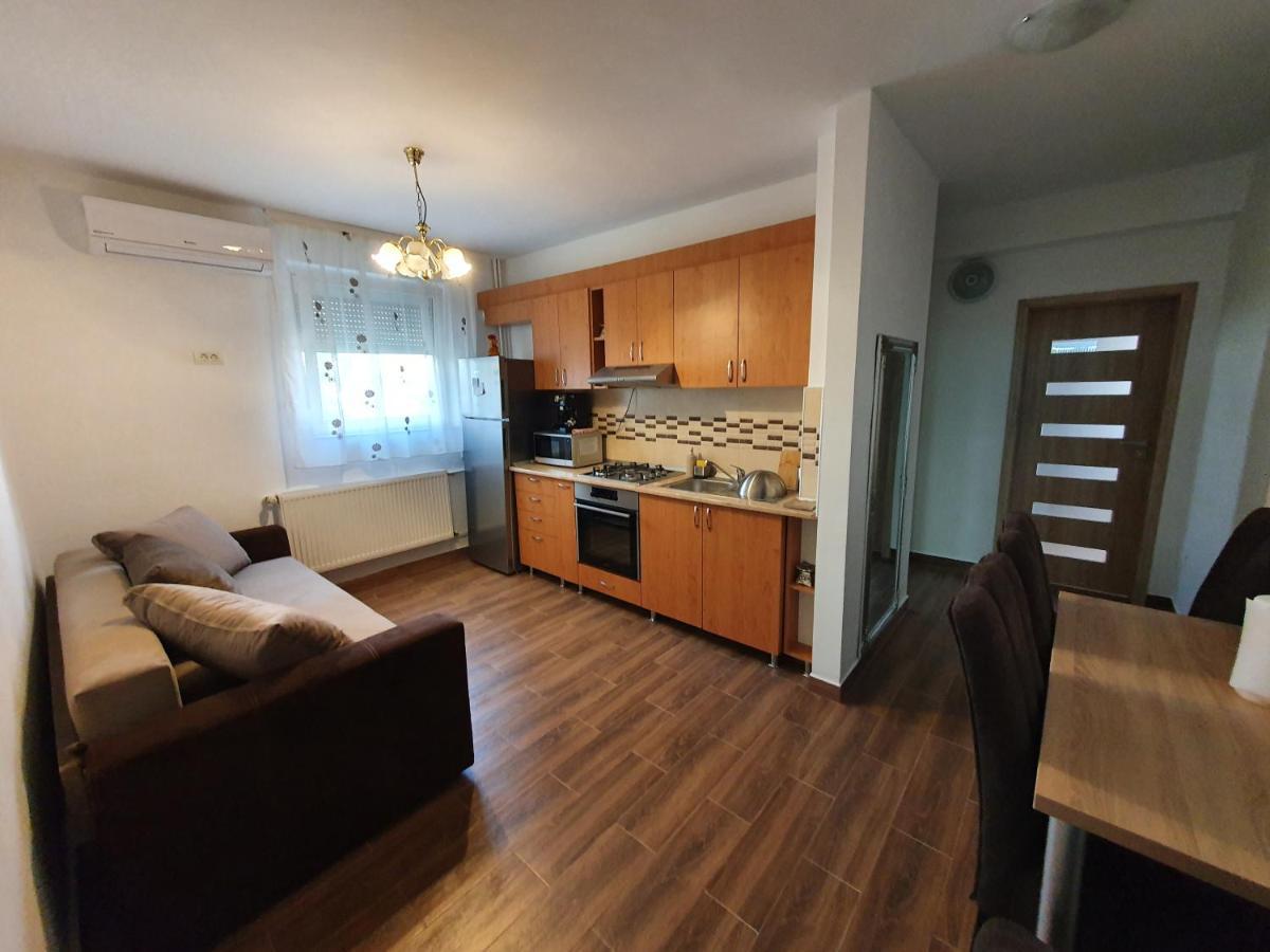 Apartament Andrei Băile Felix Extérieur photo